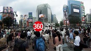 【360° VR】Shibuya Crossing