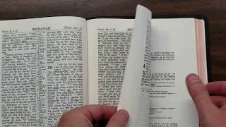 Cambridge KJV-RV Interlinear Bible Review