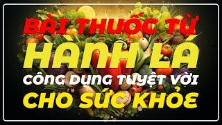 Bài Thuốc Từ Hành Lá: Công Dụng Tuyệt Vời Cho Sức Khỏe Bạn | Tâm sự cuộc sống