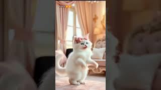 cute beautiful cat dance #cat #catsoftiktok #catlover #cattok #funny #funnycat #beautiful #kids #kit