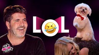FUNNIEST Animal Auditions That Made Simon Cowell LOL!