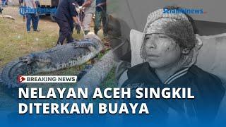 BREAKING NEWS Nelayan Asantola, Aceh Singkil Diterkam Buaya, Alami Luka di Kepala & Kaki