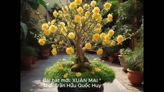 Nhạc trữ tình. Bài hát: XUÂN MAI *. Thơ: Trần Hữu Quốc Huy