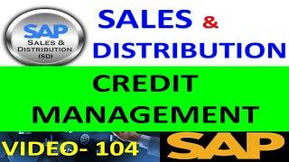 How to Configure Credit Management - S4HANA | Sales Distribution in Sap | DK TECHNOLOGIES