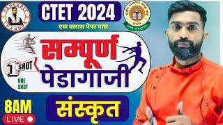 CTET Dec 2024|संस्कृत सम्पूर्ण पेडागाजी | महा मैराथन | Sanskrit marathan for Ctet | Chandra Sir