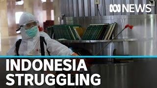 Indonesia struggles to contain coronavirus | ABC News