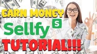 Earn Money On Sellfy: A Tutorial for Beginners