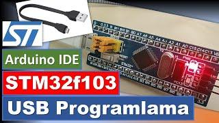 STM32F103 USB Programlama...