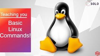 Basic Linux Commands|Learn Linux From Basics|Basics in Linux|Cyber Zypher|Powered by SOLO™