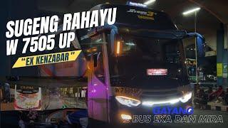  Ganyang 2 bus eka dan mira ‼️ Sugeng Rahayu W 7505 UP