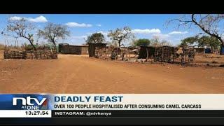 Meru: Over 100 people treated after eating camel carcass