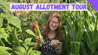 August Allotment Tour - Allotment Gardening For Beginners UK