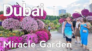 Dubai [4K] Explore Beyond the Flowers Dubai Miiracle Garden Walking Tour 