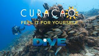 DIVE Curaçao - a Caribbean Gem