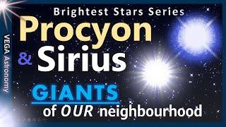 Procyon & Sirius: GIANTS of Our Neighbourhood