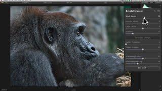 How To SHARPEN & REDUCE NOISE in Luminar 4
