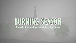 Burning Season (Behavioral Change for Climate Video Competition)