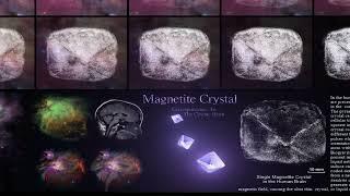 The Brain Crystal - cf-apps7865 and Danny Wilten