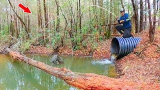 Fishing a Secret Spillway in The Woods and Caught This!