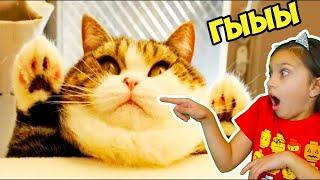 КОТЫ ПАДУНЫ! ЛУЧШИЙ НЕ ЗАСМЕЙСЯ ЧЕЛЛЕНДЖ с КОТАМИ! Попробуй не засмеяться Валеришка ТЕСТ на психику