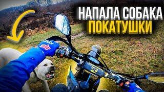 НАПАЛА СОБАКА | ПОКАТУШКИ НА АДВАНС 300