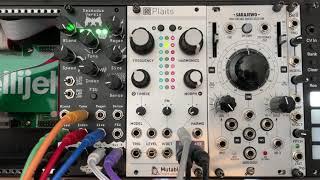 Noise Engineering Lacrima Versio First Patch