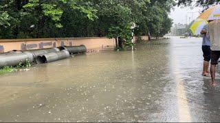 Vadodara Flood Updates || 27.08.2024 || Day 2 Red Alert || Mangal Pandey Road || Sama road ||