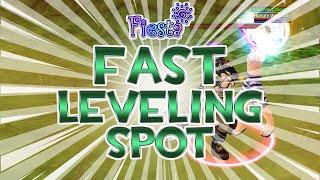 Fiesta Online NA - Fast Leveling Spot [2022]