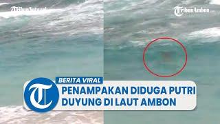 Viral Video Penampakan Makhluk Diduga Putri Duyung di Laut Latulahat Ambon