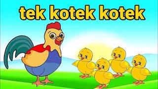 Tek kotek kotek | lagu anak anak ~ animasi anak ayam lucu