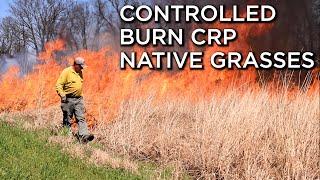 Controlled Burn On Native Grass CRP Planting | Dormant VS. Growing Season Burns | Part1