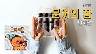 문어의 꿈_안예은 / 쉬운 난이도 칼림바 배우기 kalimba