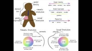 Sexual and Romantic Orientations | SFW Education