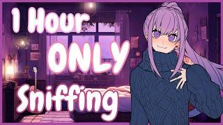 Only Sniffing for 1 Hour!~ (3Dio ASMR)(Sniffing)(No Talking)(Comfort)