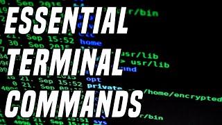 15 Useful Linux Commands Every Linux User Needs | Learning Terminal Part 1