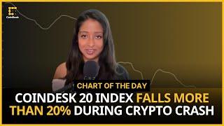 CoinDesk 20 Index Fell More Than 20% During Overall Crypto Market Crash | Chart of the Day