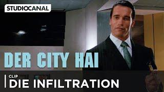 DER CITY HAI | "Ich bin kein Bulle, ich bin Spieler" | Schwarzenegger