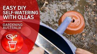 Irrigate like it’s 2000 BC with these easy DIY terracotta watering pots called ollas