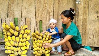 Harvest water spinach and sell it at the market during the rainy season & How to make dried bananas