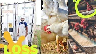Raising Chicken is one, BUT SELLING CHICKEN ONLINE, Well...  | Backyard chickens vs Broiler Chicken