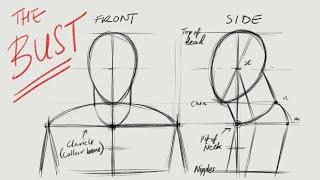 Figure Drawing Tutorial Pt3 (Proportions of the Bust Head to Shoulder)