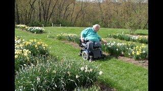 Gardening With Friends: Joe Hamm's Daffodil Hortus