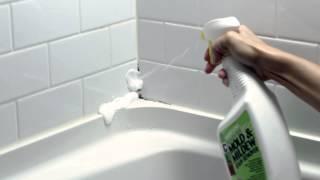 CLR Mold & Mildew Stain Remover