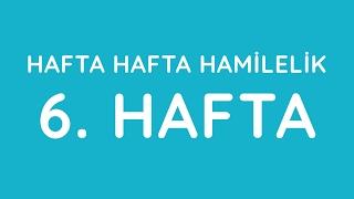 6.Hafta - Hafta Hafta Gebelik - Hamilelik | Anneysen.com