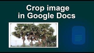 How to Crop and adjust an Images in Google Docs