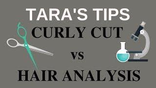 Curly Cut vs Personal Hair Analysis | What's the better value?
