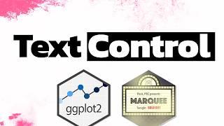 FULL Text Control With ggplot & {marquee} | Step-By-Step Tutorial