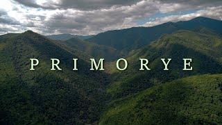 Nature and wildlife of Primorye.