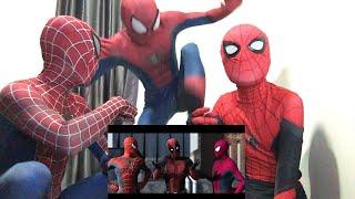 Spider-man: Homecoming VS AMAZING SPIDERMAN ft Deadpool (parody) REACTION!