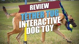 Tether Tug Interactive Dog Toy Review